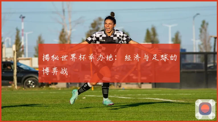 揭秘世界杯举办地:经济与足球的博弈战