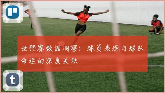 世预赛数据洞察：球员表现与球队命运的深度关联